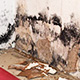 Tower Claims Adjusters - Maximize Your Property Insurance Claim